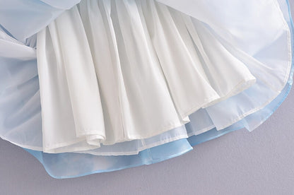 Love Most Puff Sleeve Tulle Princess Dress